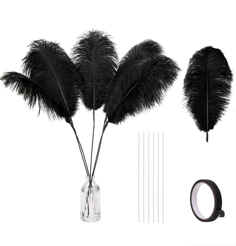 Holmgren Black Ostrich Feathers Bulk - 20pcs Making Kit 22 Inch Natural Ostrich Feathers for Vase, Floral Arrangement, Wedding Party Centerpieces and Halloween Home Decor (Black) - Image 1